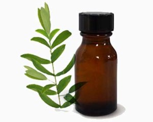 teatreeoil